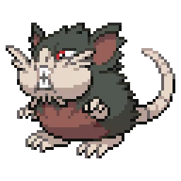 알로라 레트라 Alolan Raticate