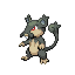 알로라 꼬렛 Alolan Rattata