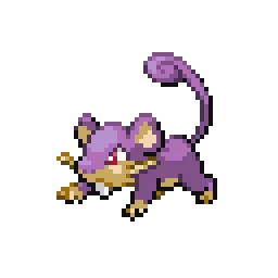 꼬렛 Rattata