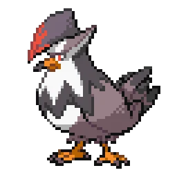 찌르호크 Staraptor