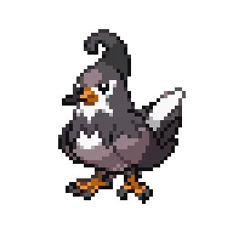 찌르버드 Staravia