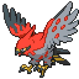 파이어로 Talonflame