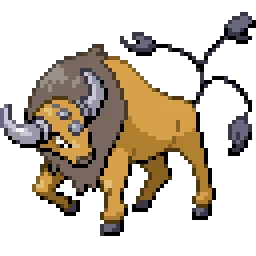 켄타로스 Tauros