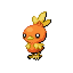 아차모 Torchic