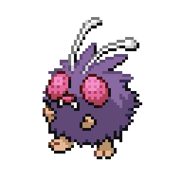 콘팡 Venonat