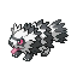 가라르 지그제구리 Galarian Zigzagoon