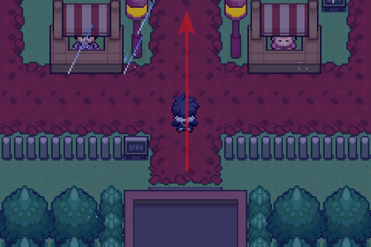 Going north after exiting the connector. / Pokémon Unbound