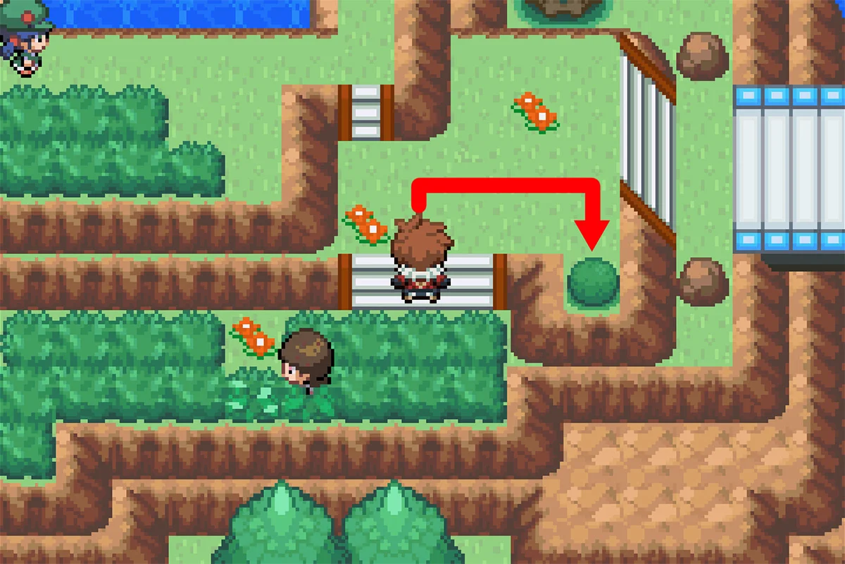 덤불 속에 숨겨진 용의비늘의 정확한 위치