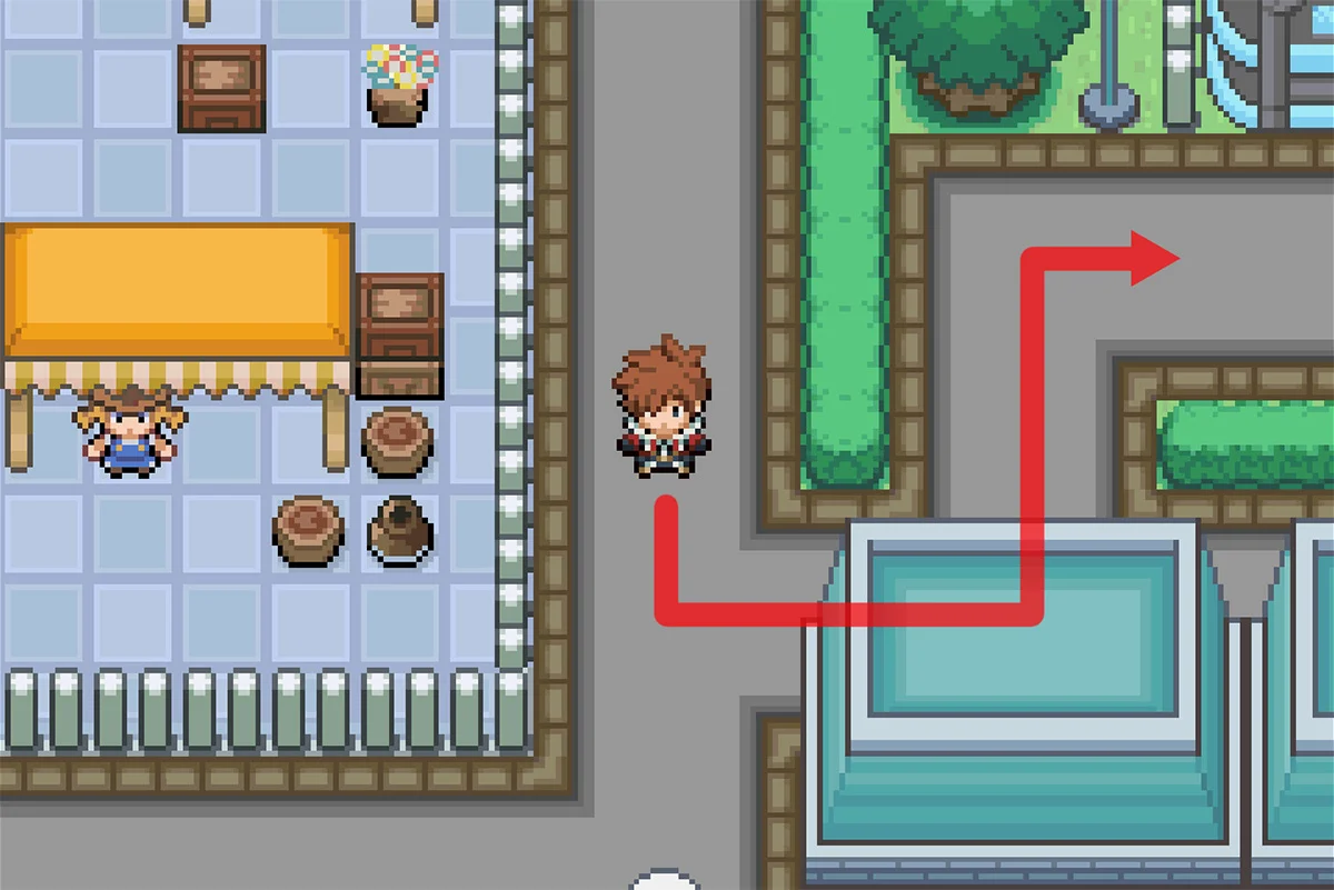 체육관으로 가는 길