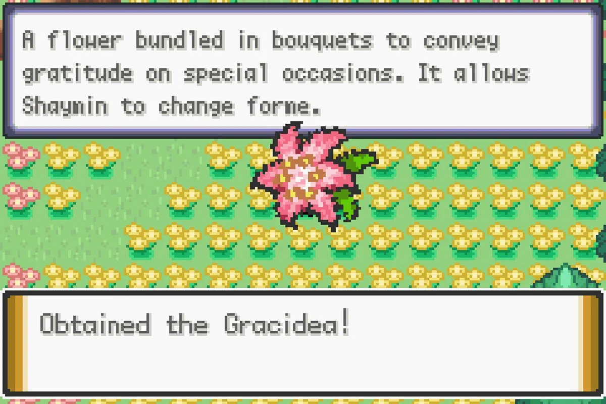 그라시데아꽃 획득.