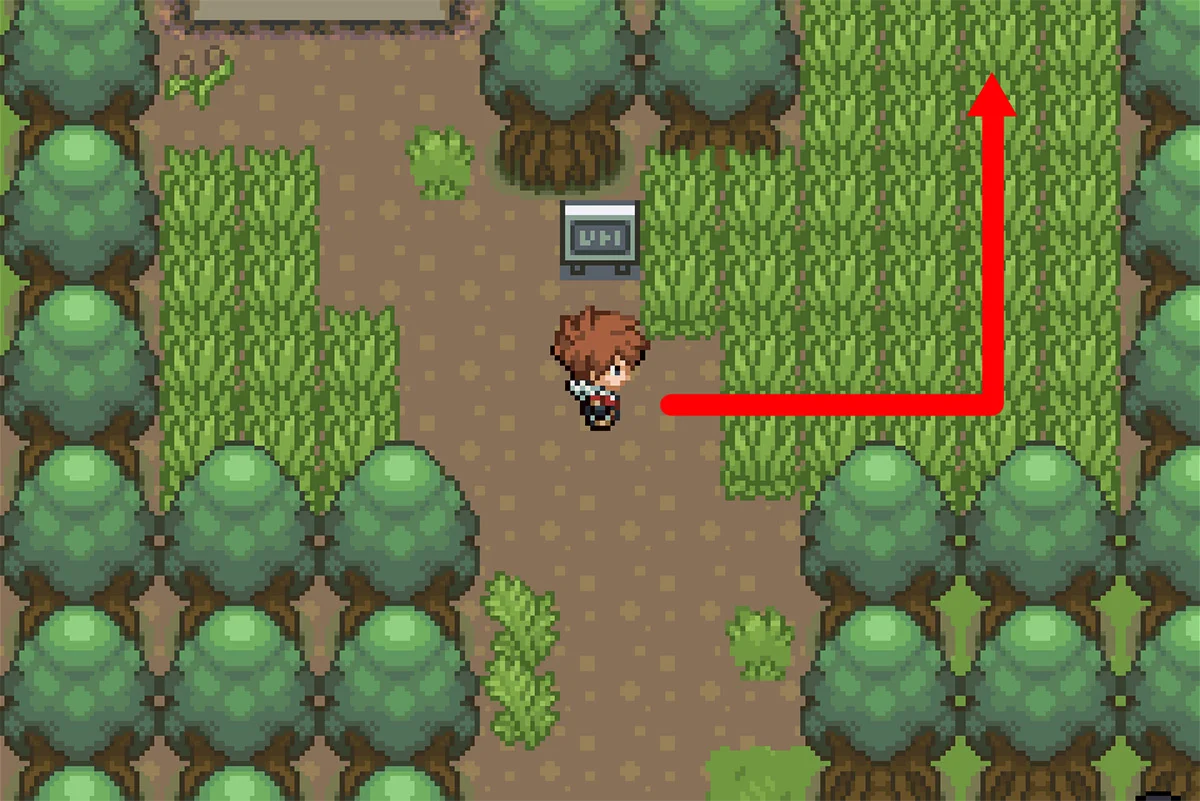 트레이너에게 가는 길