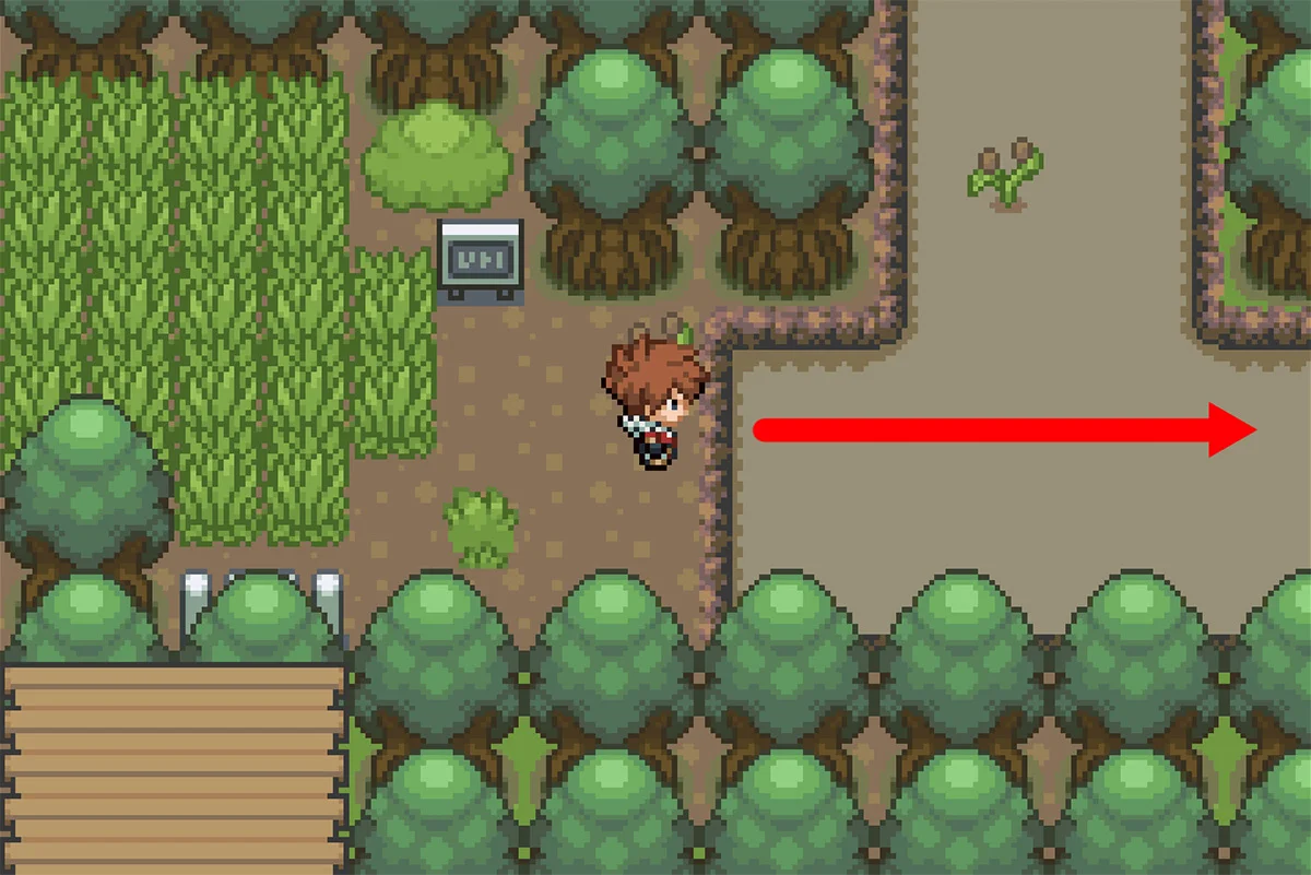 연못에서 파도타기