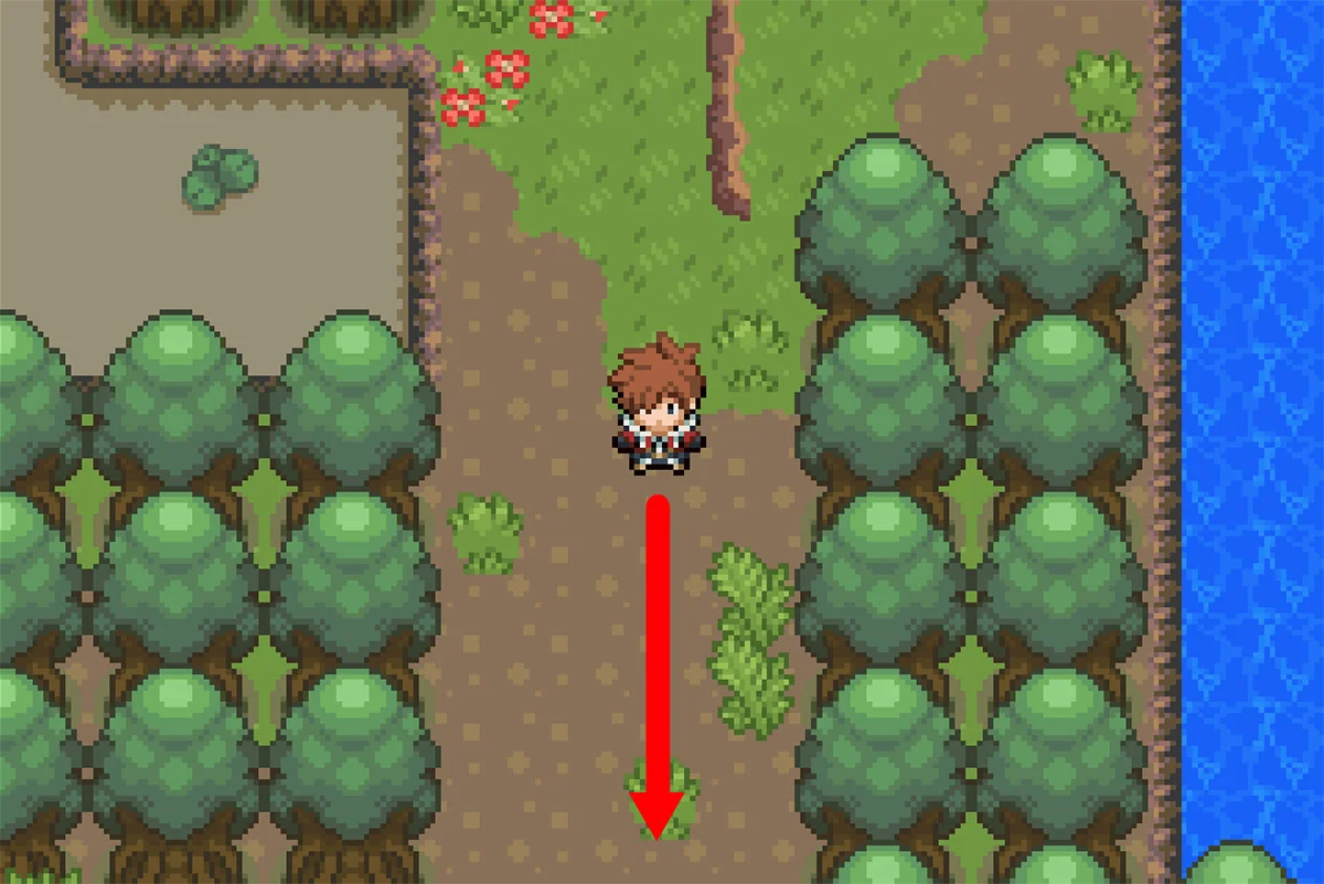 다음 갈림길로 가는 길