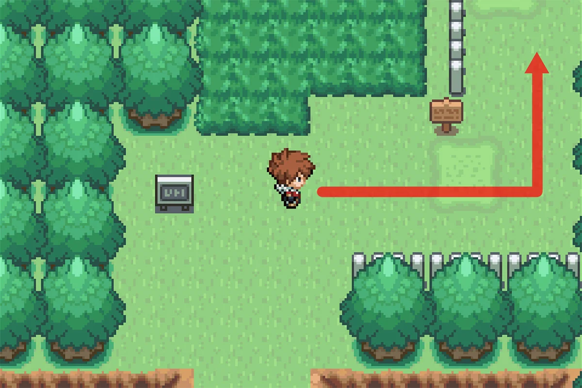 트레이너에게 가는 길