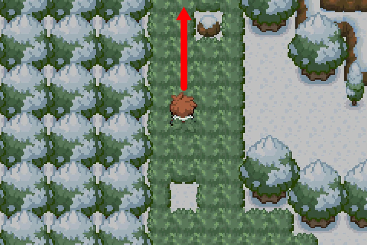 숲 북쪽 끝으로 가는 길