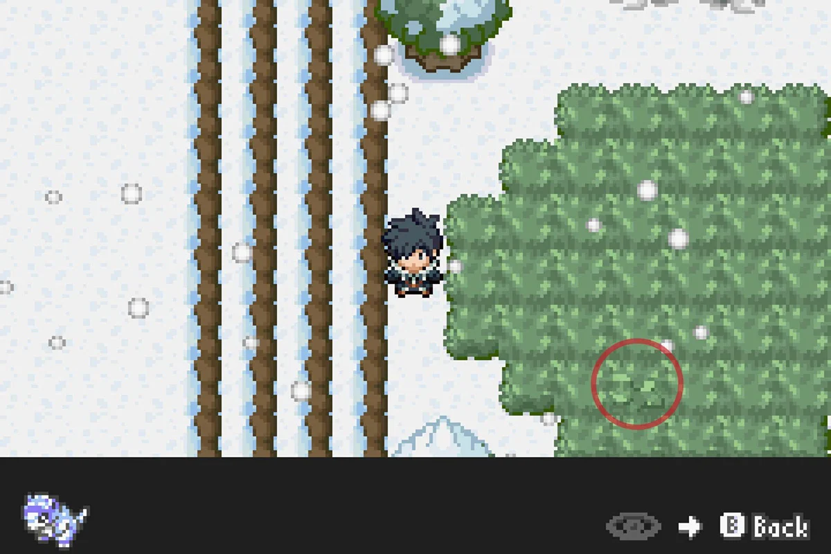 긴 풀숲이 흔들리는 모습.