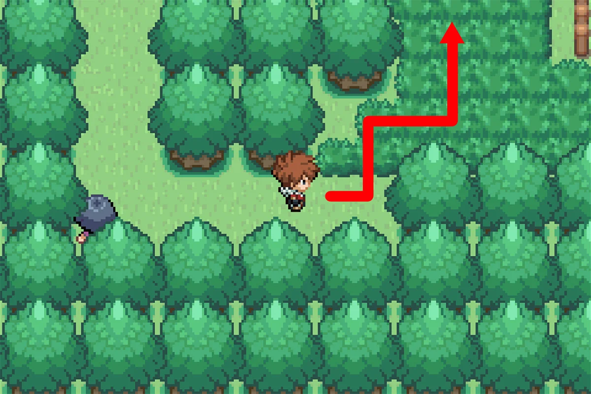 바위로 이어지는 길