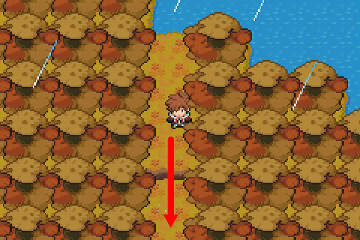 갈림길로 가는 길