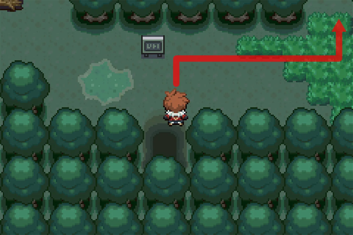 순찰 중인 트레이너에게 가는 길