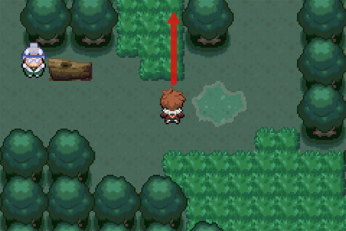 연못으로 가는 길