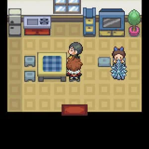 벨린 타운(Bellin Town) (북동쪽 집)