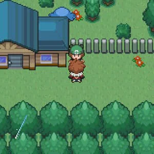 포켓몬 키우미집(Pokemon Day Care)