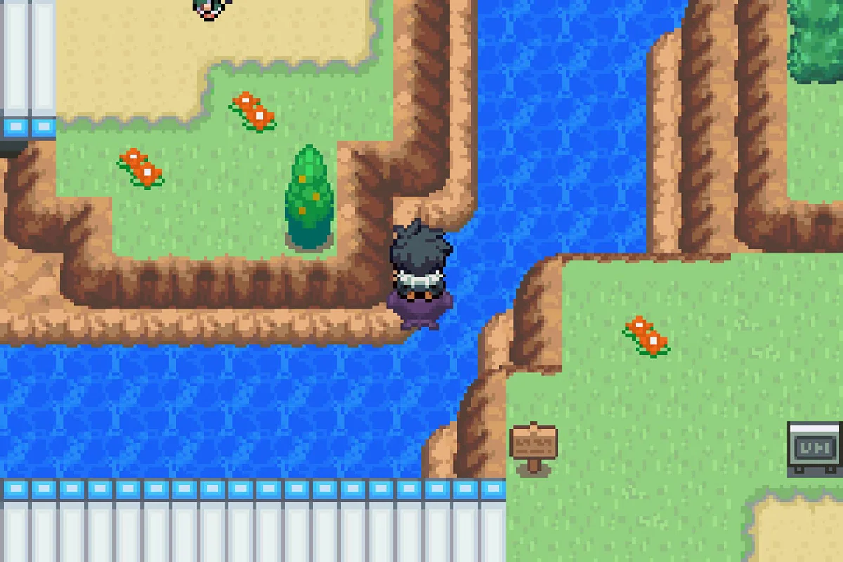 Following the narrow path after the bridge. / Pokémon Unbound