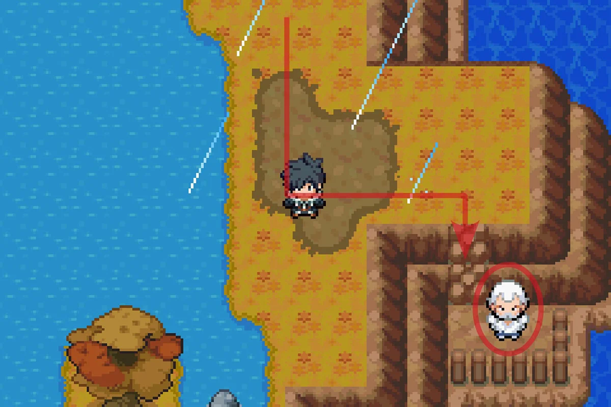 Approaching Mega Trainer Ernesto. / Pokémon Unbound