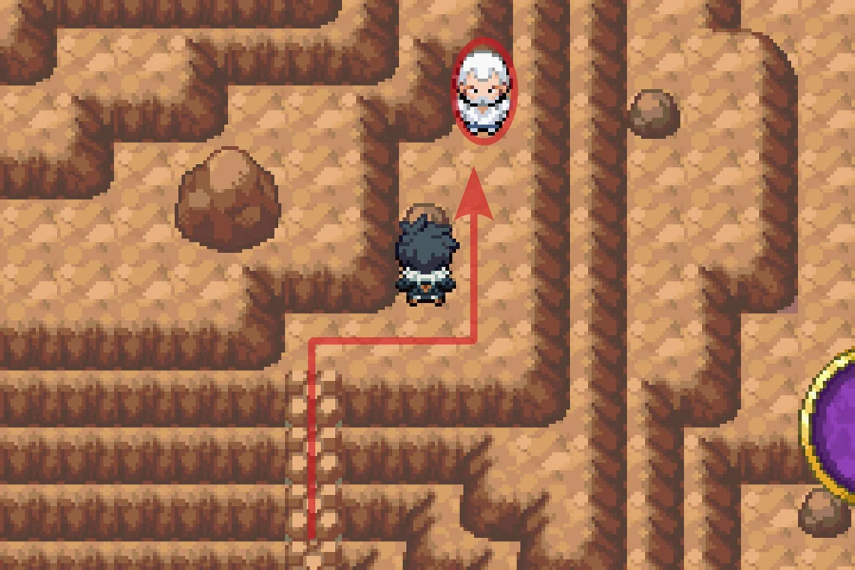 Approaching Mega Trainer Timothy. / Pokémon Unbound