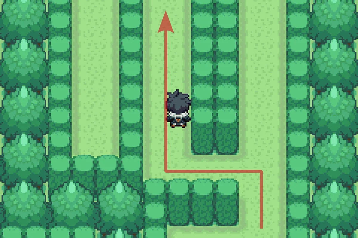 Turning west and following the path. / Pokémon Unbound