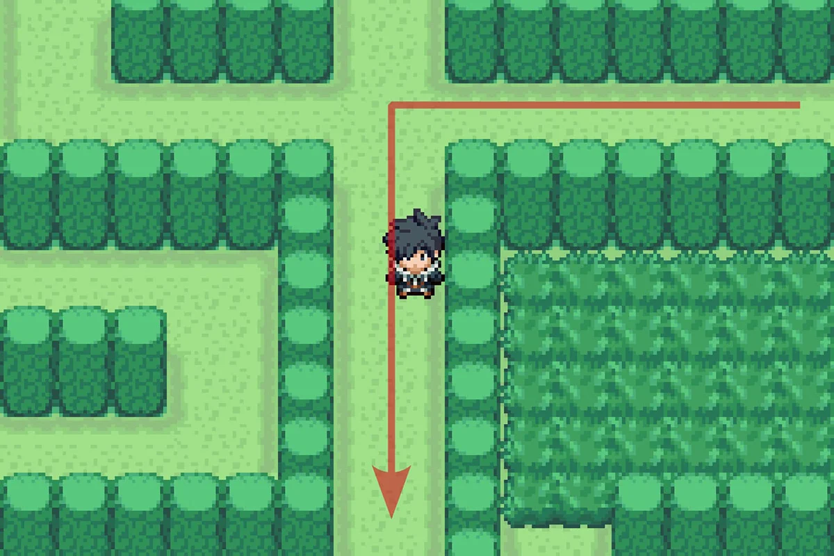 Following the path south when the path splits into four. / Pokémon Unbound