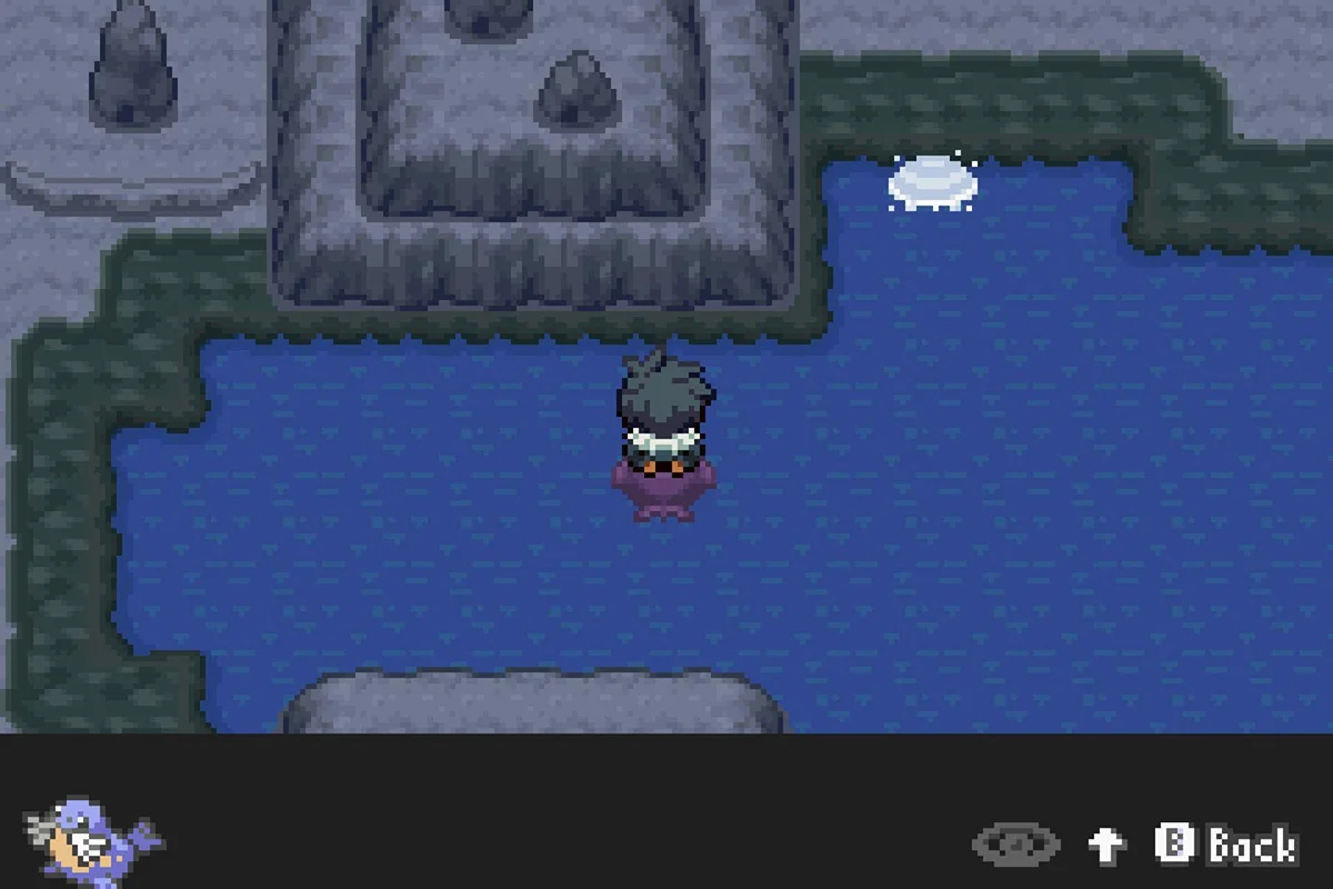 물에서 등록된 포켓몬 찾기.