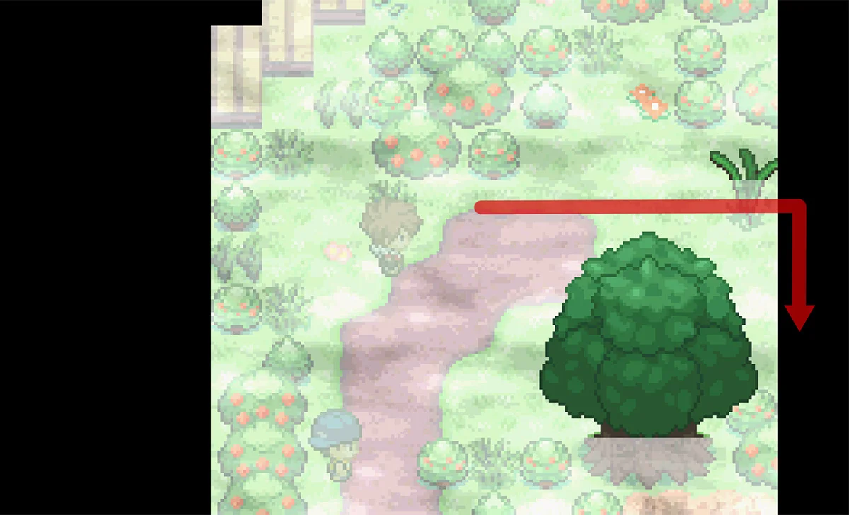 Path to second Trainer / Pokémon Unbound