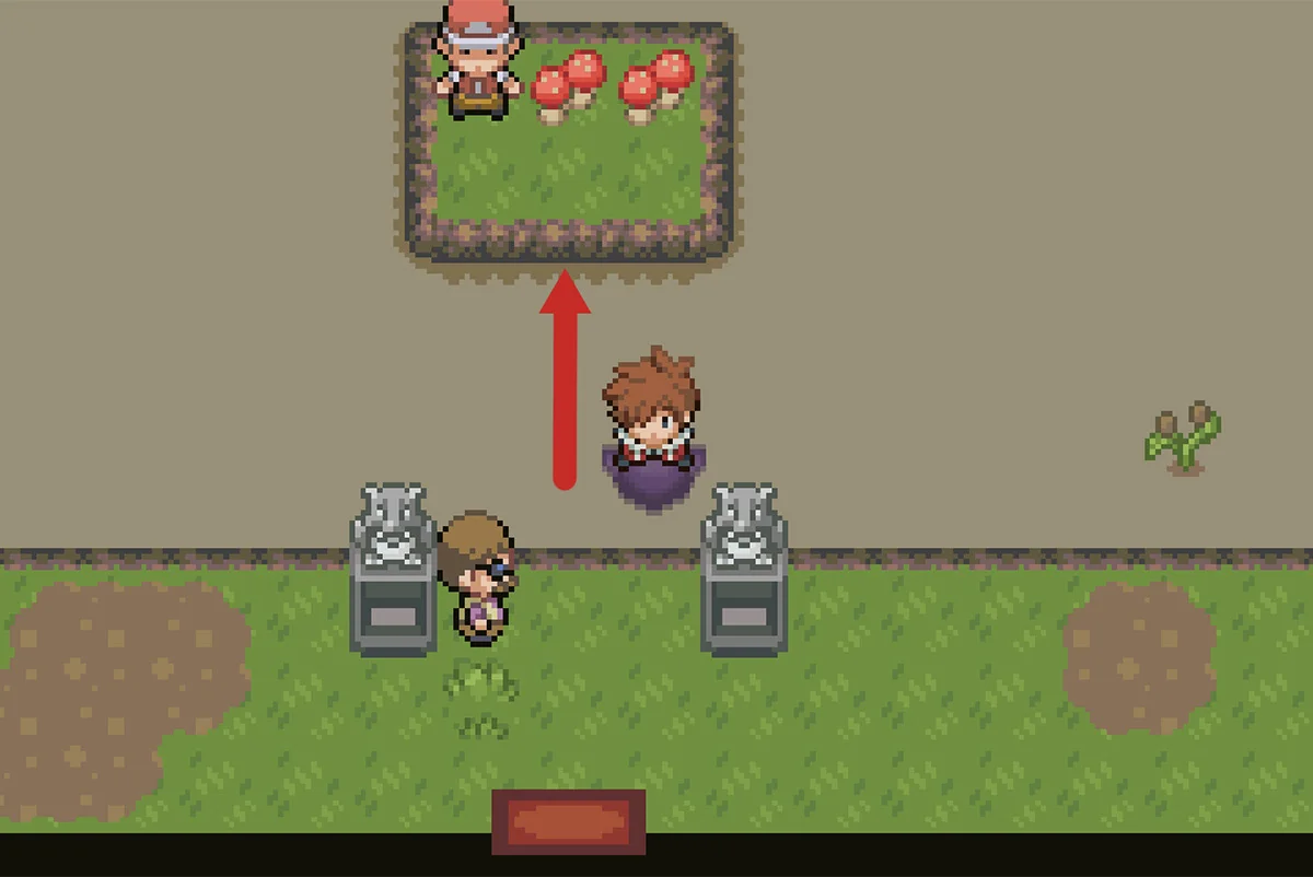Path to first land / Pokémon Unbound