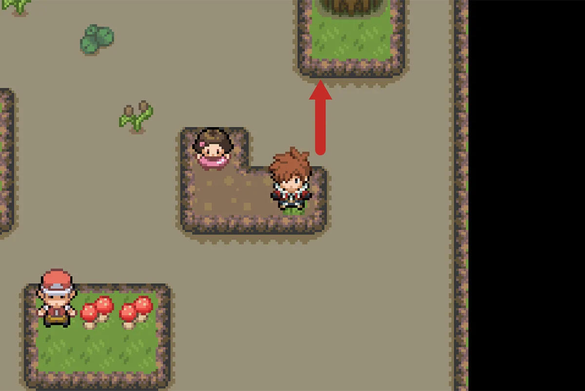 Path to next land / Pokémon Unbound