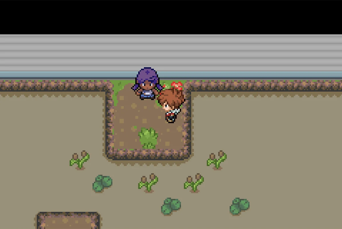 Tessy Battle Area / Pokémon Unbound