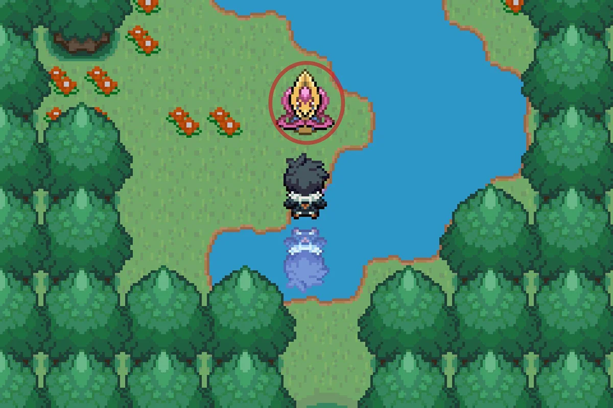 빈터에서 크레세리아 발견.