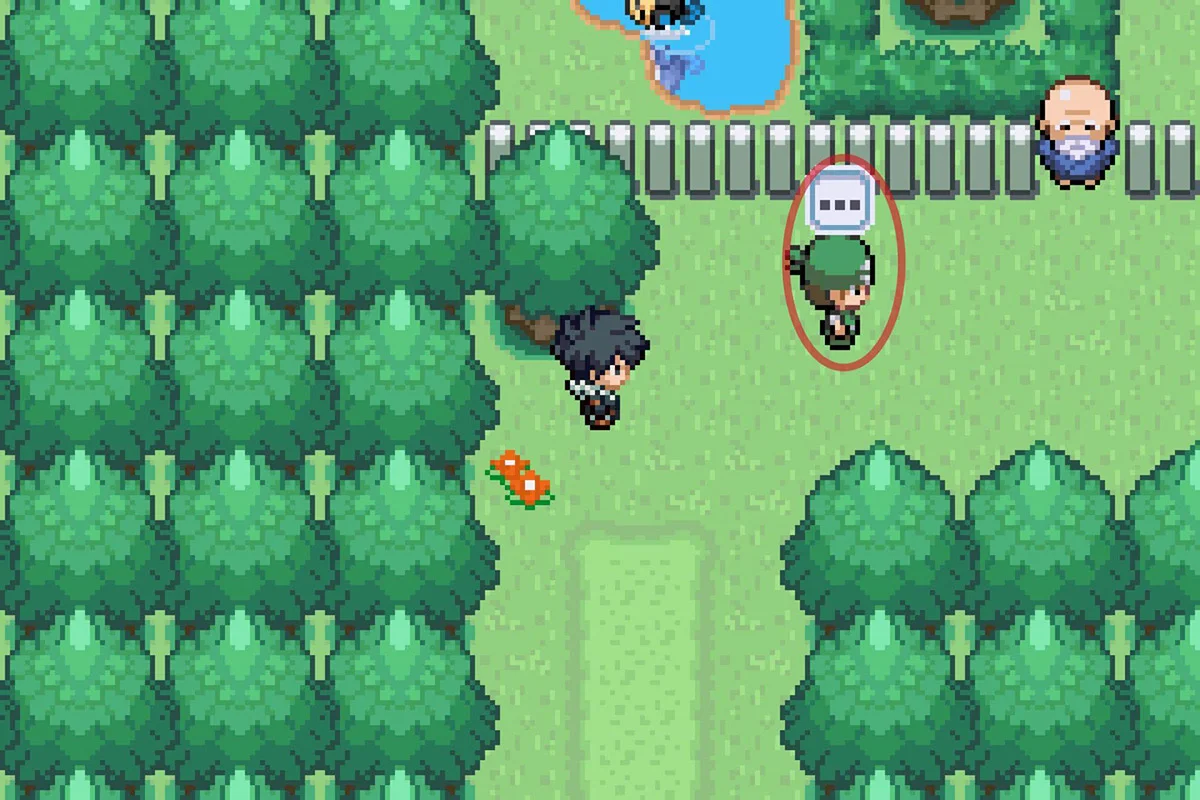 키우미집 밖의 NPC에게 접근.