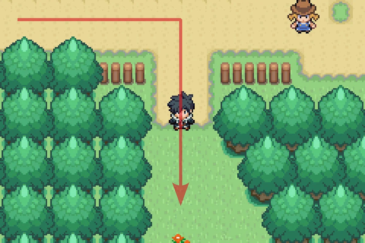 매그놀리아 필드에서 남쪽 길 따라가기.