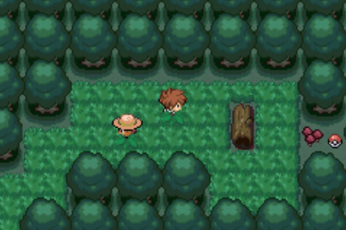 비빌 숲(Vivill Woods)