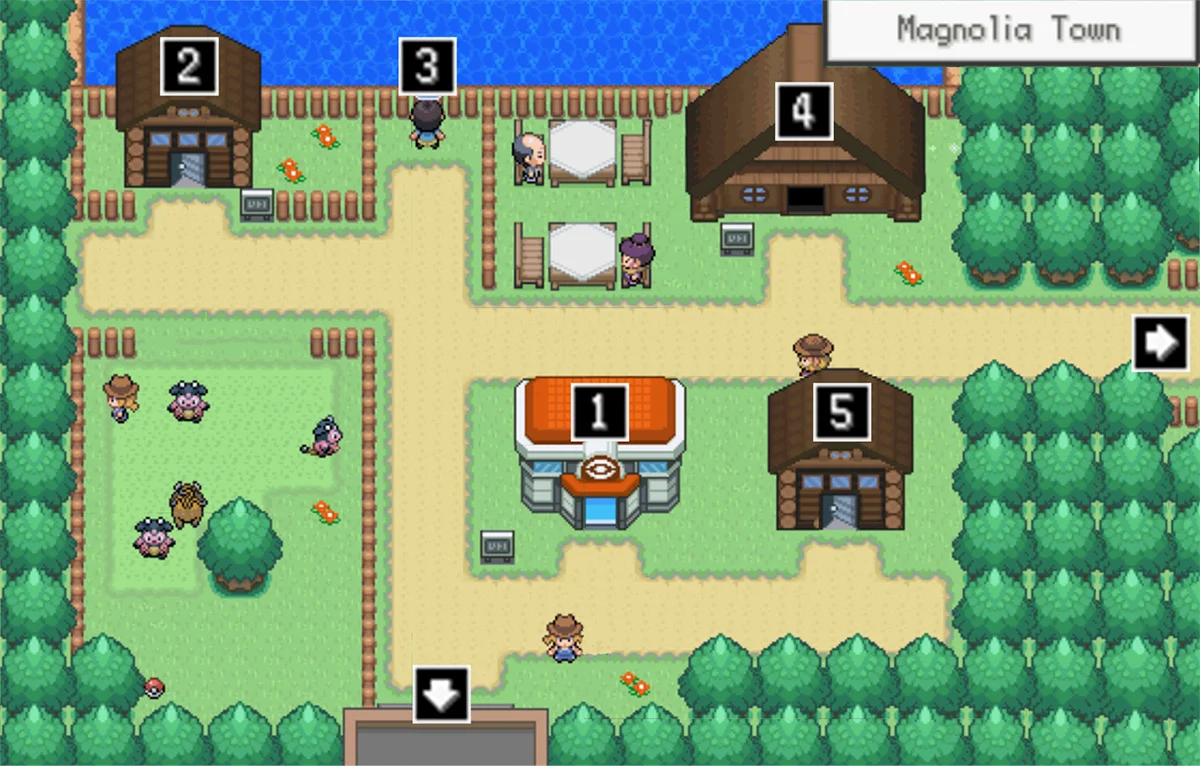 Polder Town map / Pokémon Unbound