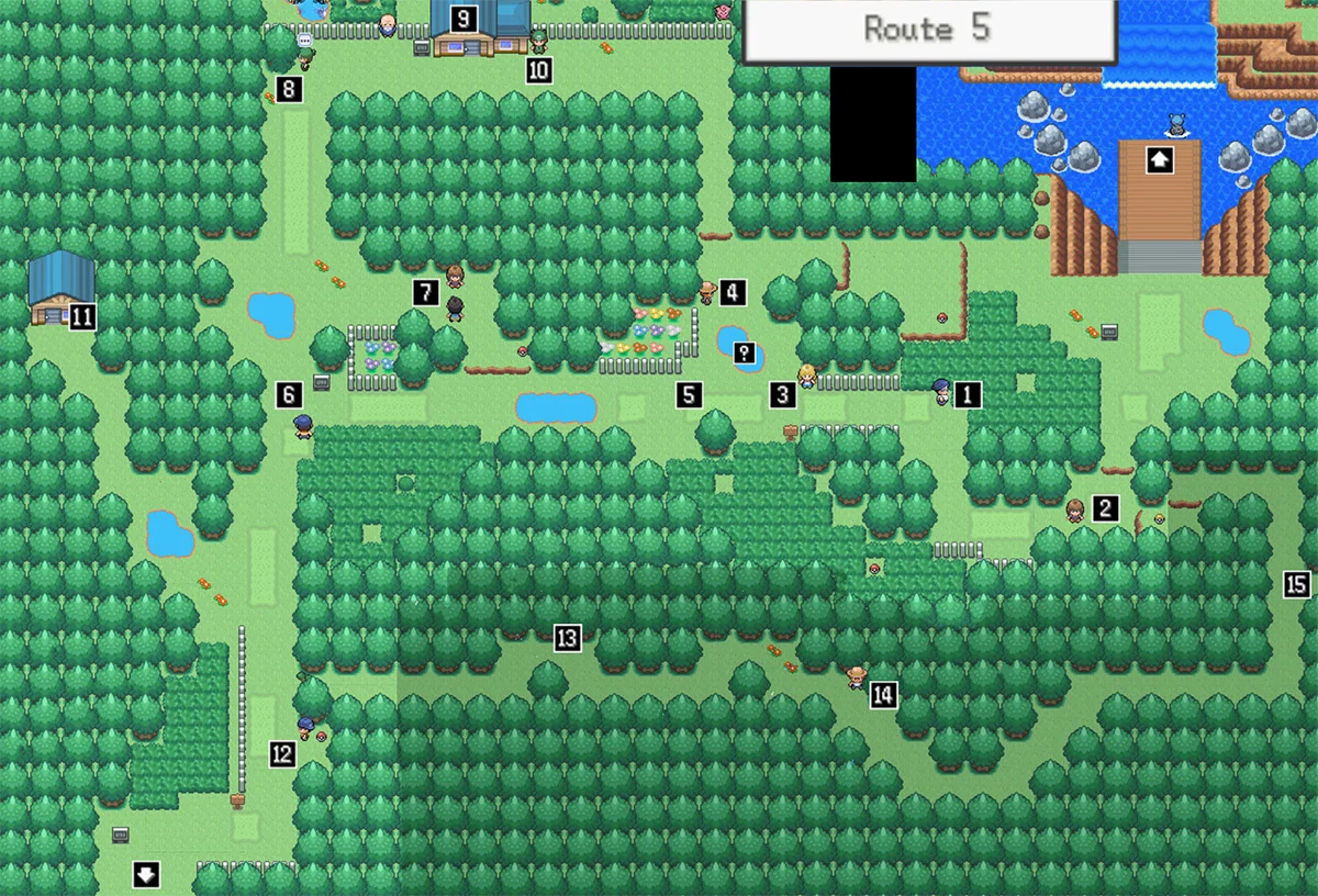Route 5 map / Pokémon Unbound