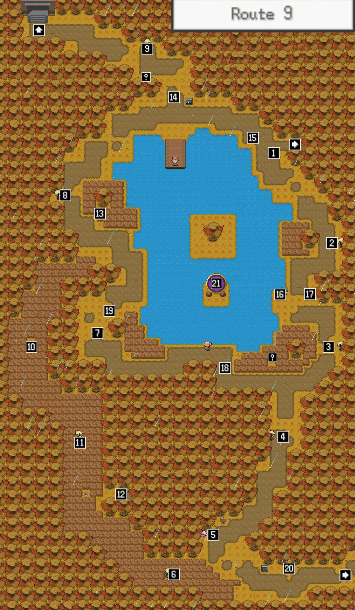 Route 9 map / Pokémon Unbound