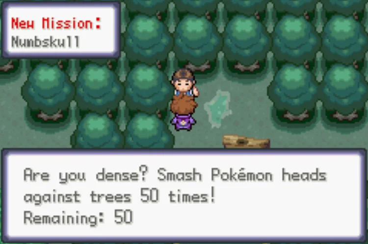 쁘사이저나이트