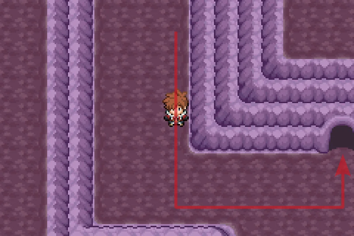 퍼즐 방으로 들어가는 모습. / Pokémon Unbound