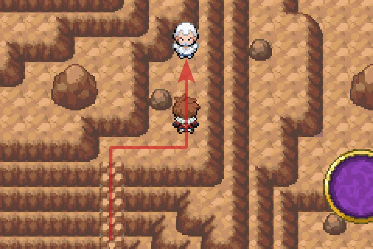 백발의 트레이너에게 다가가는 모습. / Pokémon Unbound