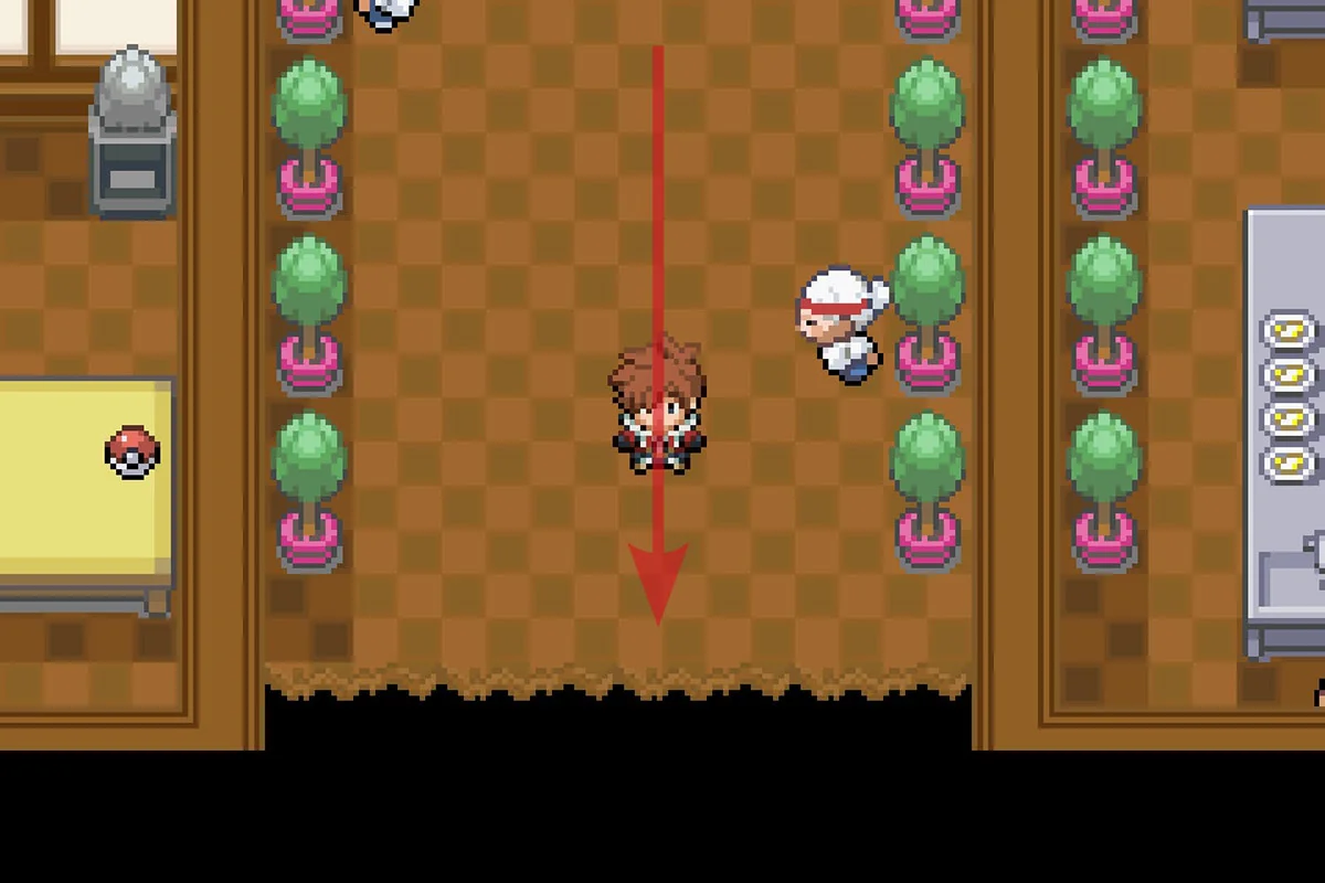 경로 끝에서 떨어지는 모습. / Pokémon Unbound