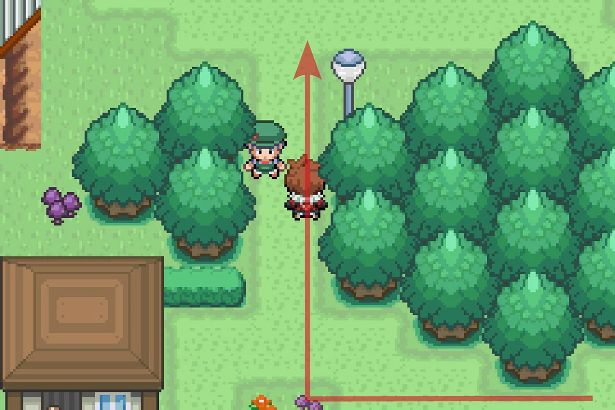 마을 북쪽으로 이어지는 경로를 따라가는 모습. / Pokémon Unbound