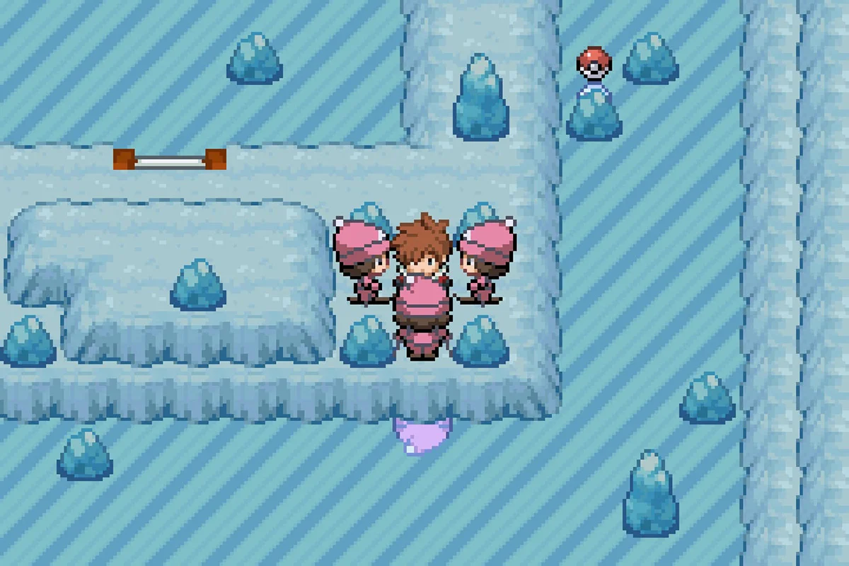 메가 트레이너 릴리에게 도전하는 모습. / Pokémon Unbound