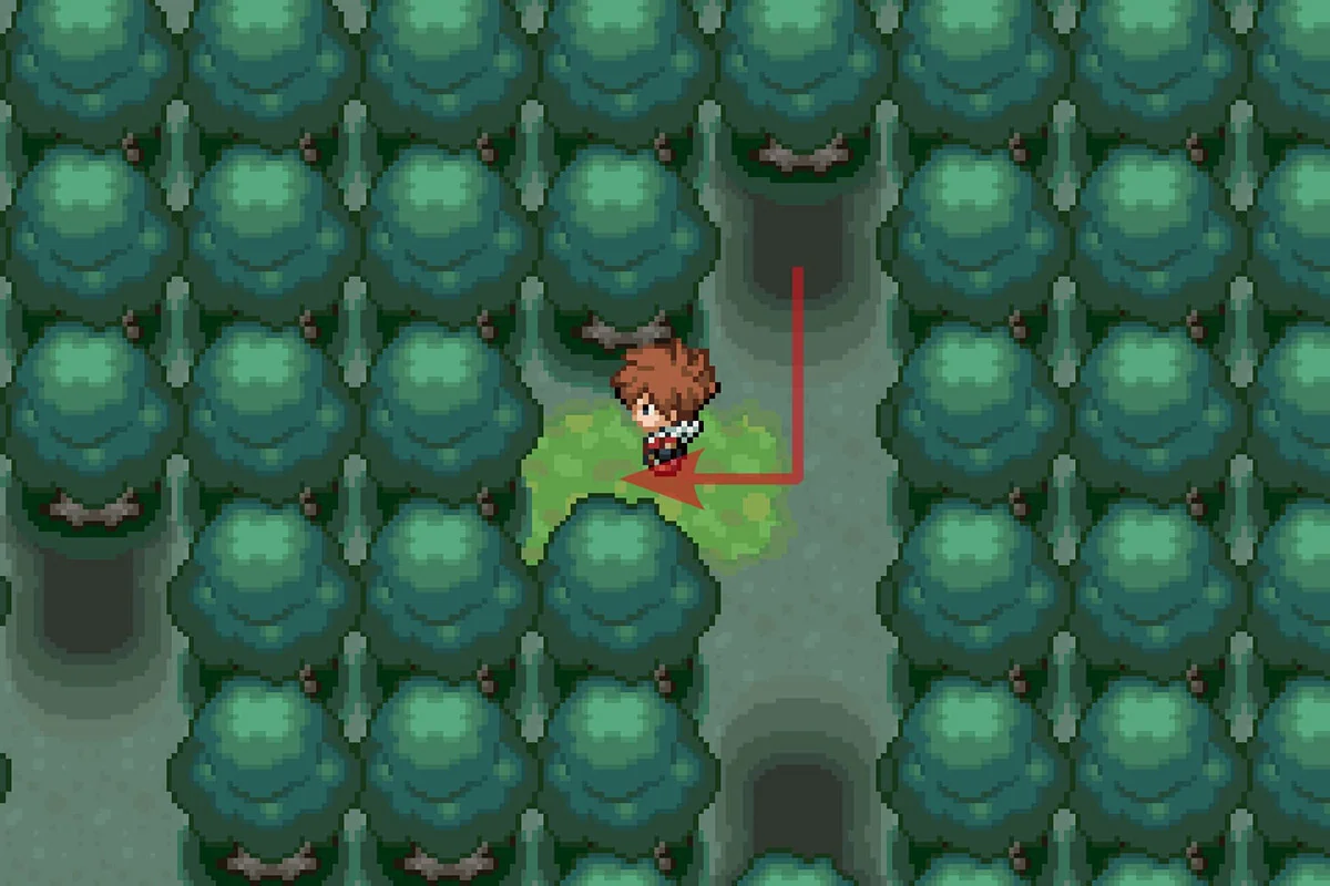 서쪽 경로를 이용하는 모습. / Pokémon Unbound